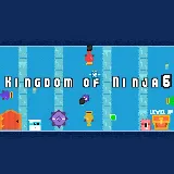 Kingdom of Ninja 6